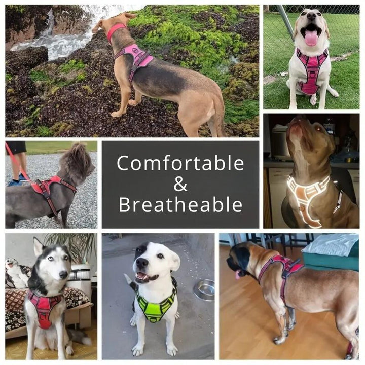 TotalControl •  Ingen Drag Hundsele