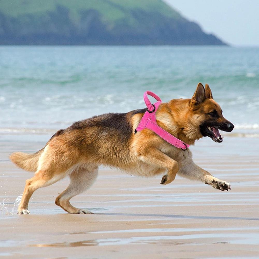 TruHarness •  Ingen Dragsele för Hundar