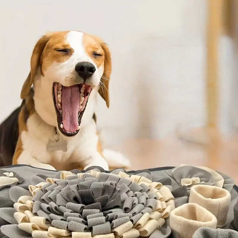 Gör Måltiden till ett Sniffande Äventyr – Buddy Snuffle Mat