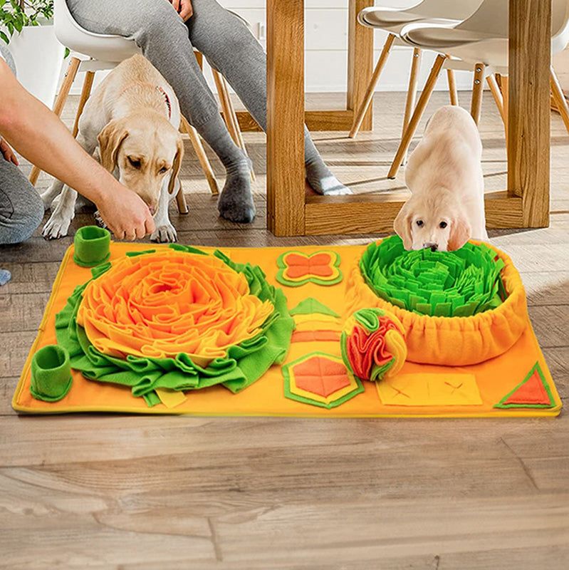 Snuffle Mat för Hundar