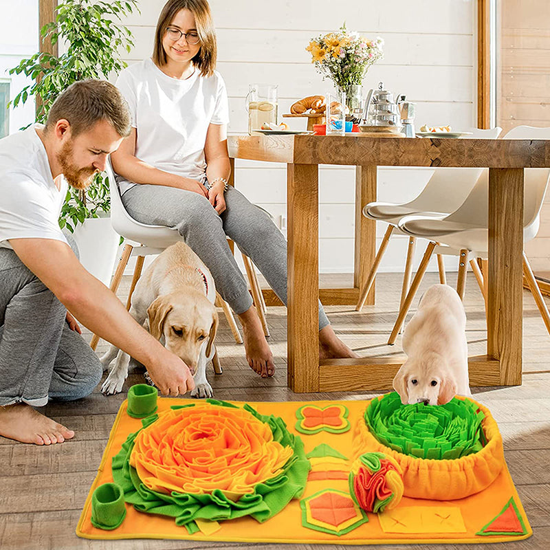 Snuffle Mat för Hundar
