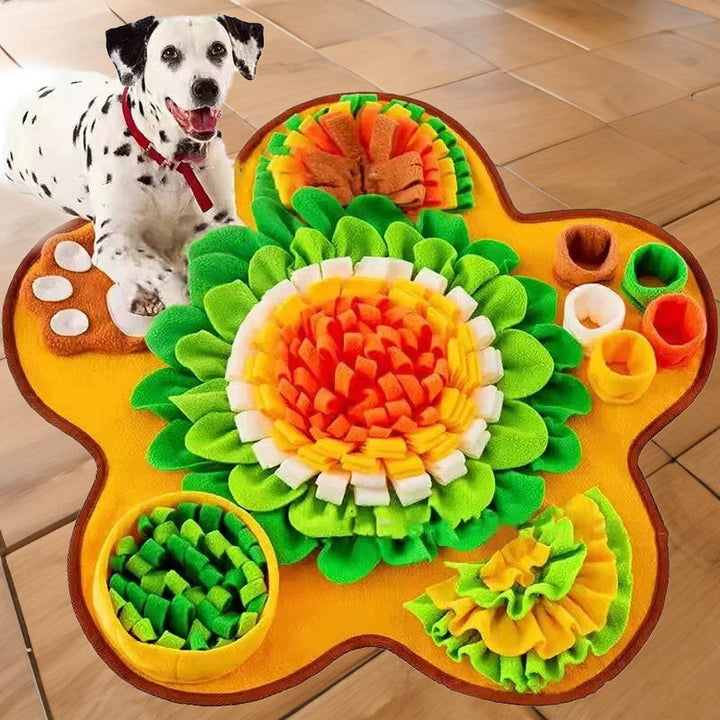 Snuffle Mat för Hundar