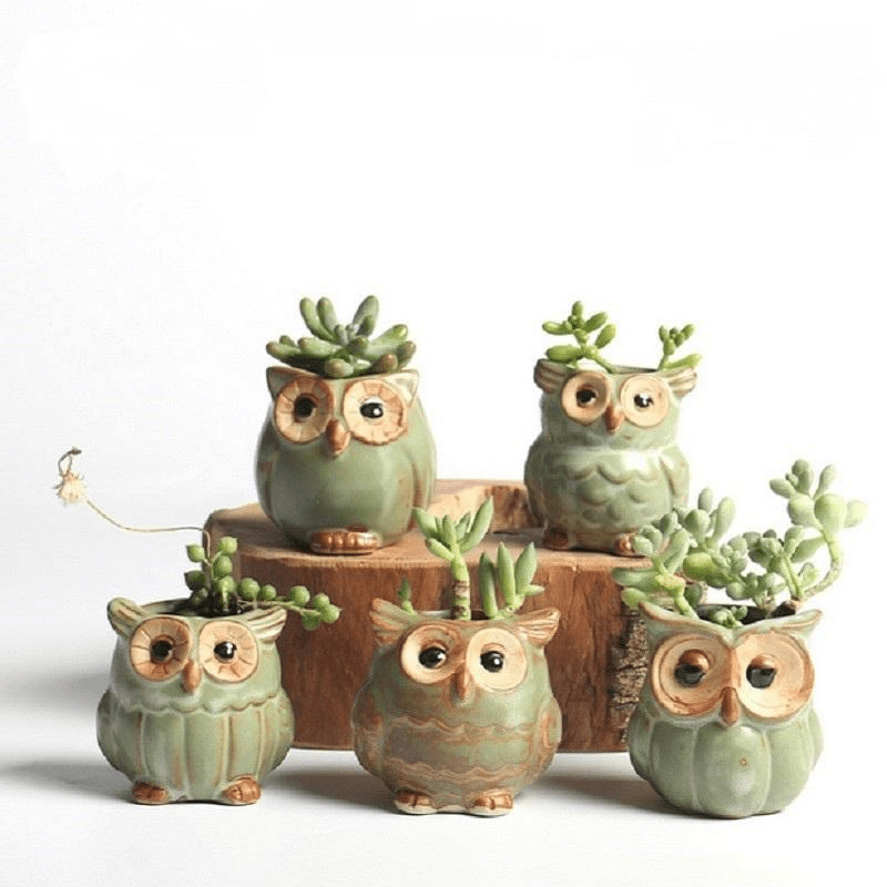 Ugglor Keramisk Blomkruka Set 5-delar