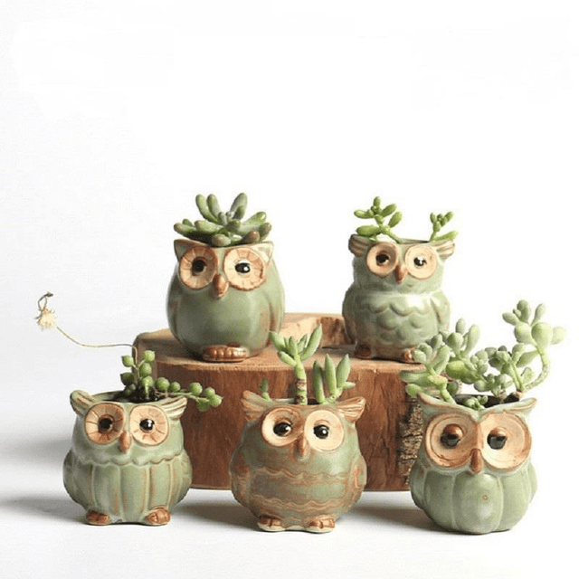 Ugglor Keramisk Blomkruka Set 5-delar