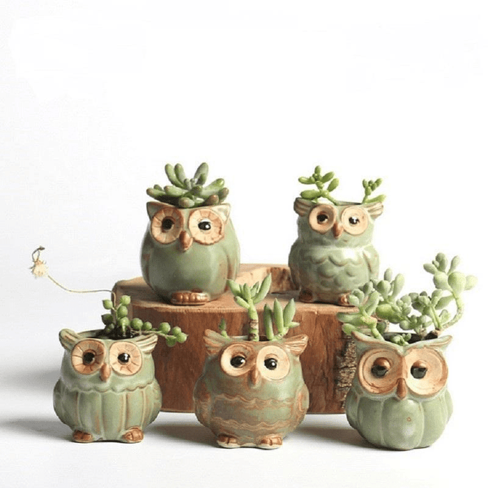 Ugglor Keramisk Blomkruka Set 5-delar